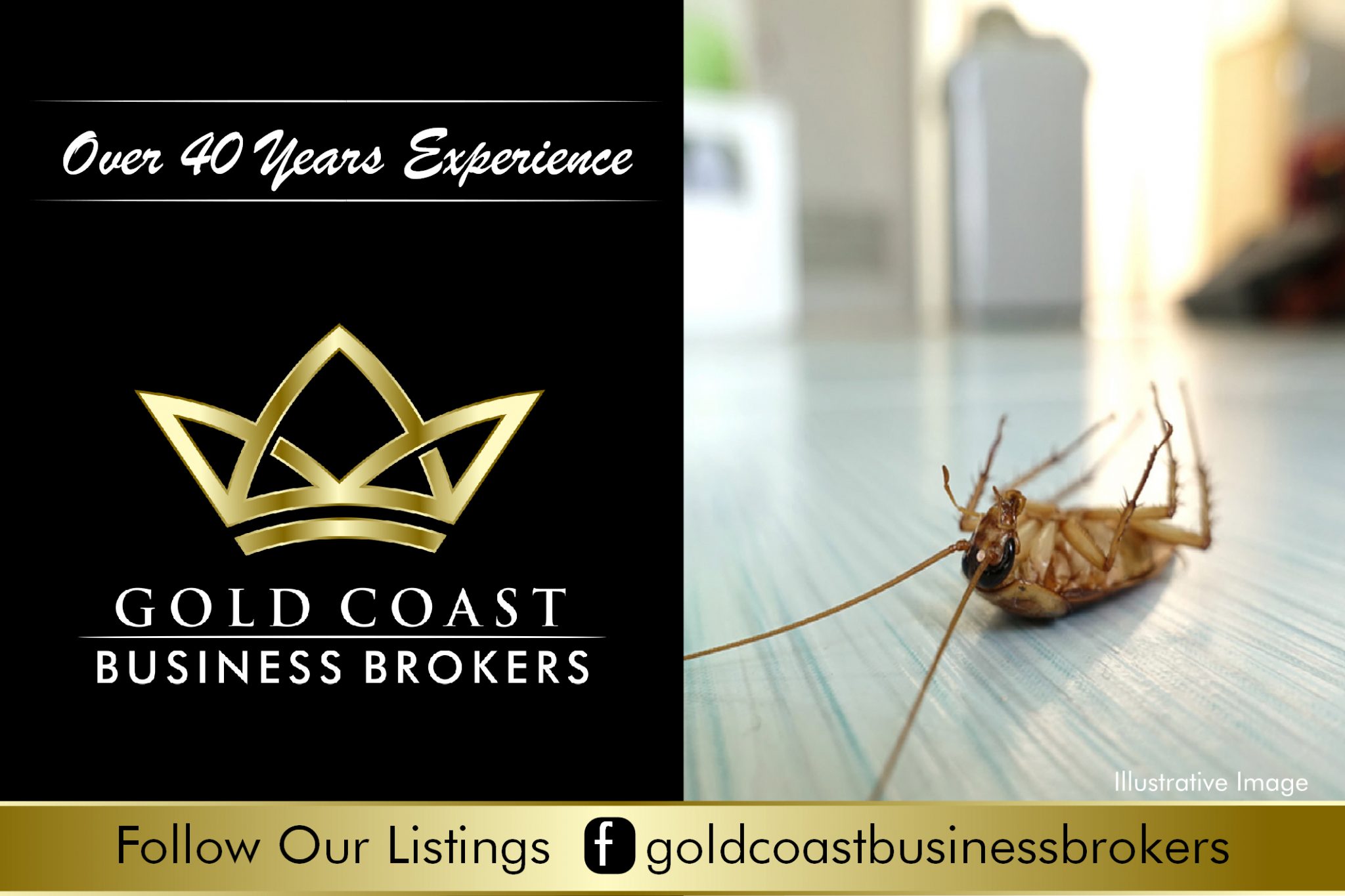 Cash based Pest Control Business for Sale Gold Coast Gold Coast